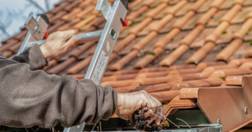 gutter debris removal